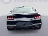 Thumbnail of 2025 SHADOW BLACK Ford Mustang