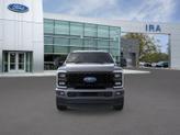 Thumbnail of 2026 Gray Ford F-250
