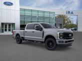 Thumbnail of 2026 Silver Ford F-250
