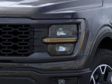 Thumbnail of 2025 Black Ford F-150