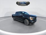 Thumbnail of 2023 AGATE BLACK METALLIC Ford F-150