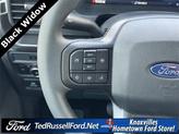 Thumbnail of 2025 Blue Ford F-150