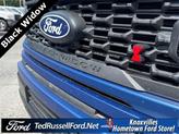 Thumbnail of 2025 Blue Ford F-150