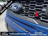 Thumbnail of 2025 Blue Ford F-150