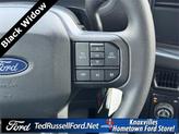 Thumbnail of 2025 Blue Ford F-150