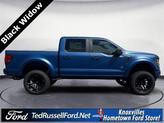 Thumbnail of 2025 Blue Ford F-150