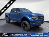 Thumbnail of 2025 Blue Ford F-150