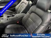 Thumbnail of 2025 Gray Ford Mustang