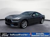 Thumbnail of 2025 Gray Ford Mustang