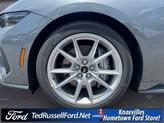 Thumbnail of 2025 Gray Ford Mustang