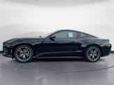 Thumbnail of 2025 Black Ford Mustang