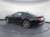 Thumbnail of 2025 Black Ford Mustang
