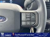 Thumbnail of 2025 Gray Metallic Ford F-150