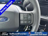 Thumbnail of 2025 Silver Ford F-150
