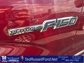 Thumbnail of 2014 Ruby Red Metallic Ford F-150