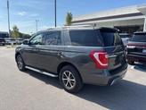 Thumbnail of 2019 Magnetic Ford Expedition