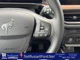 Thumbnail of 2025 Ruby Red Metallic Ford Bronco Sport