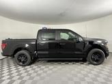Thumbnail of 2025 Agate Black Metallic Ford F-150
