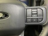 Thumbnail of 2025 White Ford F-150