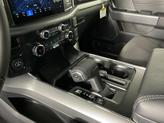 Thumbnail of 2025 Agate Black Metallic Ford F-150