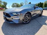 Thumbnail of 2023 Gray Metallic Ford Mustang