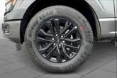 Thumbnail of 2025 Gray Ford F-150