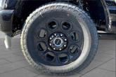 Thumbnail of 2025 Agate Black Metallic Ford F-350