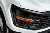 Thumbnail of 2025 Oxford White Ford F-150