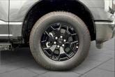 Thumbnail of 2025 Carbonized Gray Metallic Ford F-150 Lightning