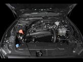 Thumbnail of 2025 Shadow Black Ford Mustang