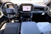 Thumbnail of 2025 White Ford F-150