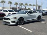 Thumbnail of 2021 Fighter Jet Gray Ford Mustang