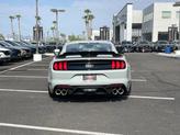 Thumbnail of 2021 Fighter Jet Gray Ford Mustang
