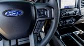 Thumbnail of 2020 Magnetic Ford F-150