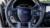 Thumbnail of 2020 Magnetic Ford F-150