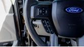Thumbnail of 2020 Magnetic Ford F-150