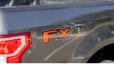 Thumbnail of 2020 Magnetic Ford F-150