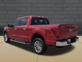 Thumbnail of 2025 RAPID RED MET TINTED CC Ford F-150