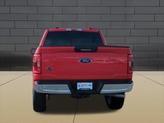 Thumbnail of 2022 RACE RED Ford F-150