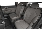 Thumbnail of 2026 Panthera Metal Kia Sorento