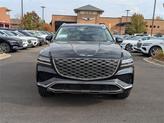 Thumbnail of 2025 Vik Black Genesis GV80