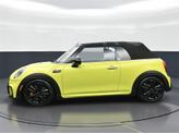 Thumbnail of 2024 Yellow MINI Convertible
