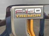 Thumbnail of 2023 AGATE BLACK METALLIC Ford F-150