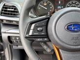 Thumbnail of 2025 Magnetite Subaru Forester