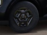 Thumbnail of 2025 METAL Kia Carnival