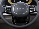 Thumbnail of 2025 METAL Kia Carnival