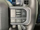 Thumbnail of 2025 Carbonized Gray Metallic Ford F-150 Lightning