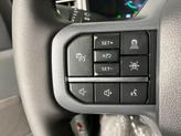Thumbnail of 2025 Carbonized Gray Metallic Ford F-150 Lightning