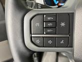 Thumbnail of 2022 Stone Gray Metallic Ford F-150