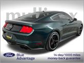 Thumbnail of 2019 Dark Highland Green Ford Mustang